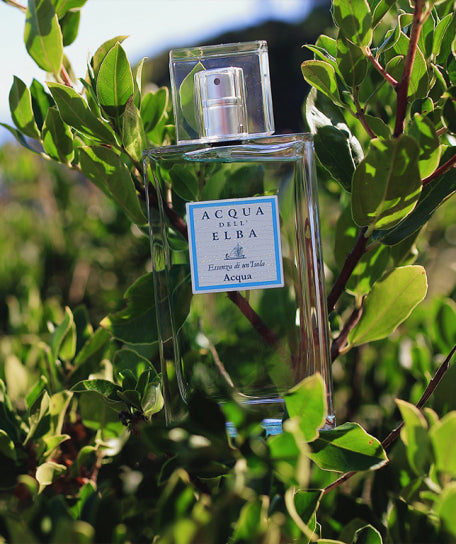 Acqua dell'Elba Acqua Unisex – Eau de Parfum 50 ml – Bild 2
