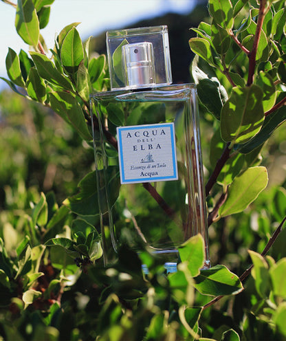 Acqua dell'Elba Acqua Unisex – Eau de Parfum 100 ml – Bild 2