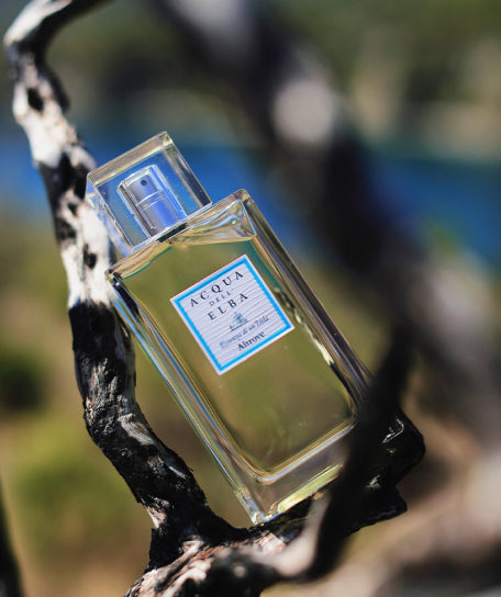 Acqua dell'Elba Altrove Herren – Eau de Parfum 100 ml – Bild 4