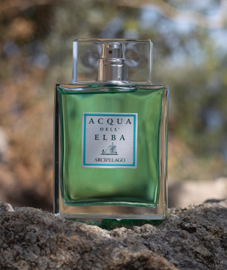 Acqua dell'Elba Arcipelago Herren – Eau de Parfum 100 ml – Bild 4