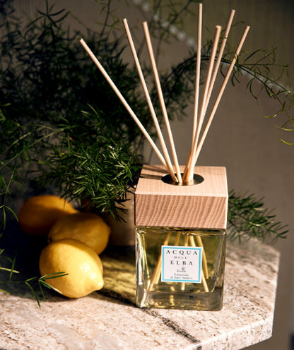 Acqua dell'Elba Raumduft-Diffuser Limonaia di Sant'Andrea 500 ml mit Duftstäbchen – Bild 2